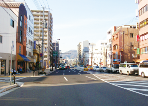 Land Readjustment Project - After completion of the project